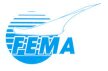 FEMA Airport